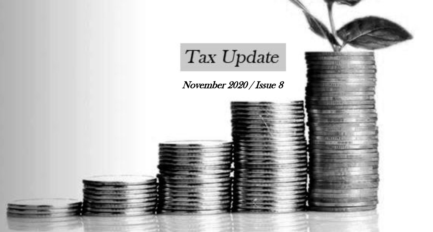 Tax Update 08-2020